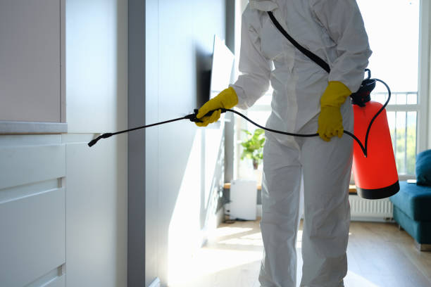 Certified Mold Removal in Midway North, TX
