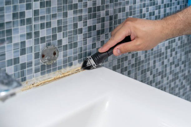 Best Home Mold Removal  in Midway North, TX